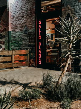 7. Gallo Blanco Cafe