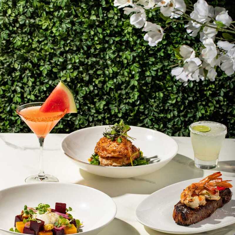 Book Your STK Salt Lake City Reservation Now on Resy