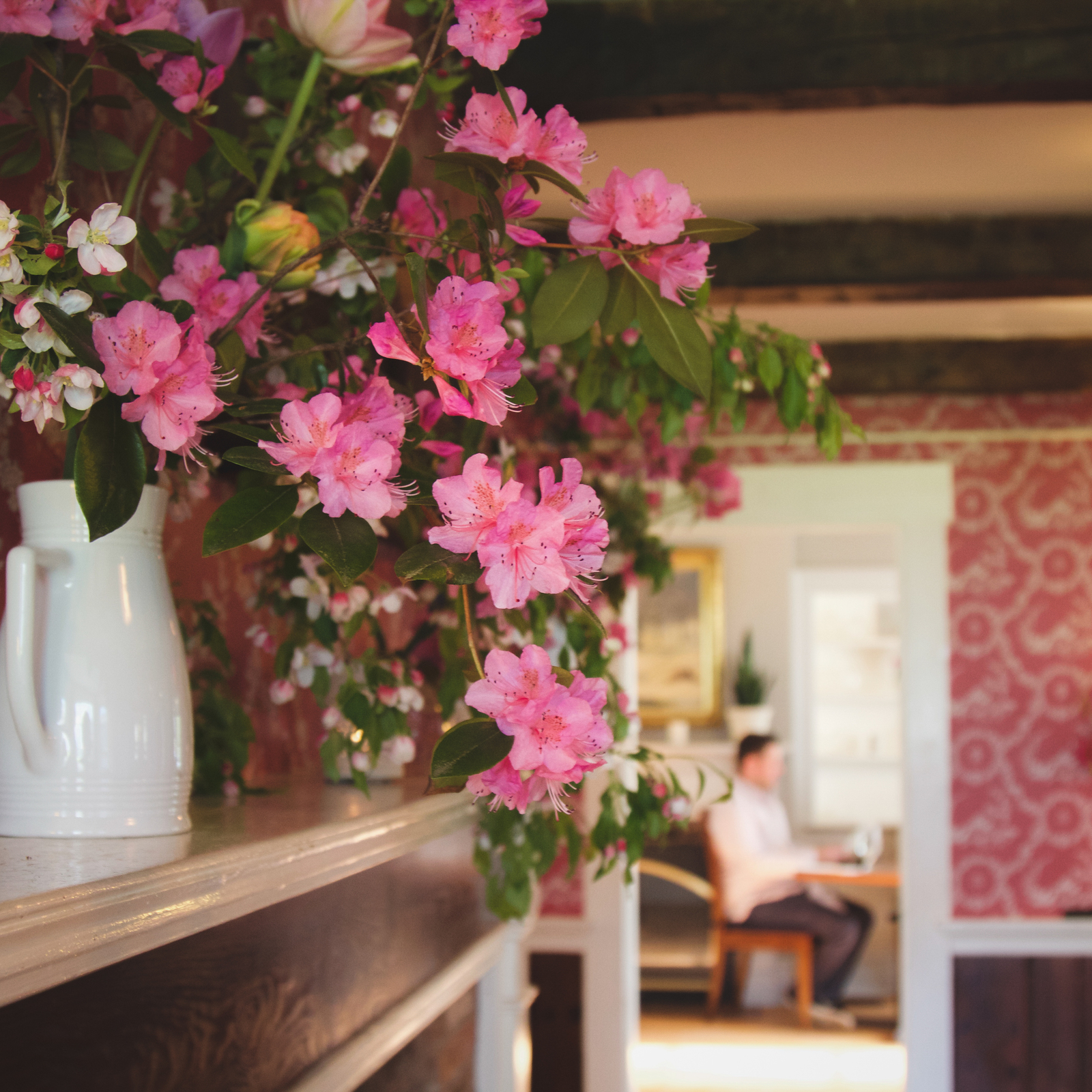 Book Your SoLo Farm & Table Reservation Now on Resy