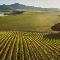 Torno Subito Wine Society - Antinori Napa Valley