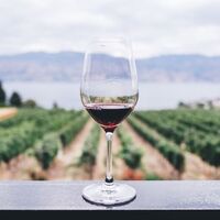 Masca del Tacco Wine Dinner