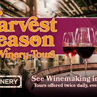 Harvest Winery Tour - 3 PM